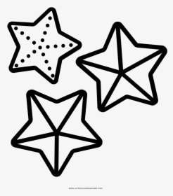 Estrella De Mar Página Para Colorear - Dibujos D Estrella Del Mar Para Colorear, HD Png Download, Free Download