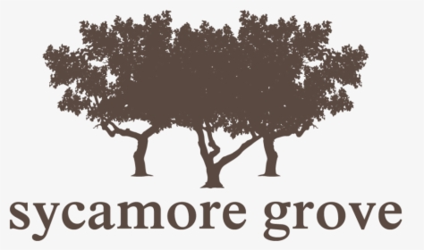 Sycamore Grove - Ichthus Festival 2011, HD Png Download, Free Download