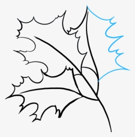 How To Draw Fall Oak - Fall Drawing, HD Png Download, Free Download