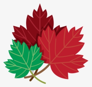 Drawing Of Red And Green Maple Leaves Png Image - Png Drawn Maple Leaf, Transparent Png, Free Download