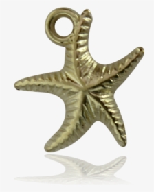 Dije Estrella De Mar Baño De Oro,3 - Starfish, HD Png Download, Free Download