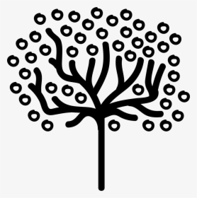 Tree Shape Of Thin Trunk With Small Leaves Circles - Icon, HD Png Download, Free Download