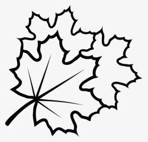 Leaves - Line Art, HD Png Download, Free Download
