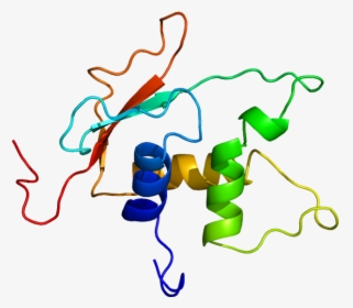 Protein Irf4 Pdb 2dll - Interferon Regulatory Factor 4 Structure, HD Png Download, Free Download