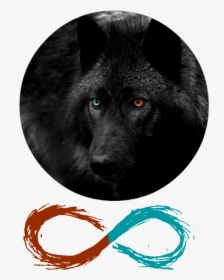 Immortalized Banner Infinity Sign Wolf Red Blue Black, HD Png Download, Free Download