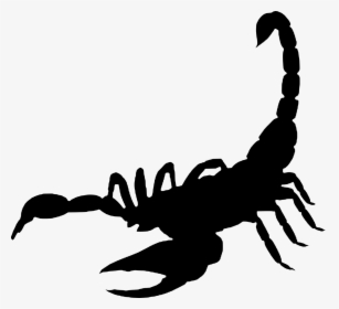 Scorpion,arachnida ,silhouette,free Vector Graphics,free - Dj Maphorisa Scorpion King, HD Png Download, Free Download