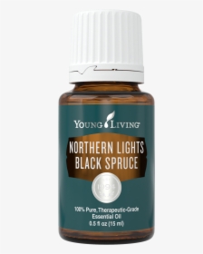 Northern Lights Black Spruce Essential Oil By Young - Eucalyptus Globulus Essential Oil Young Living, HD Png Download, Free Download