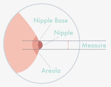 Finding The Right Breast Pump Flange Size - Areola Diagram, HD Png Download, Free Download