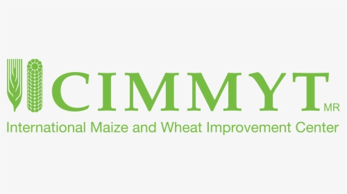 International Maize And Wheat Improvement Center, HD Png Download, Free Download
