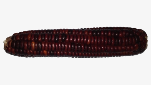 Red Cherokee - Corn Kernels, HD Png Download, Free Download