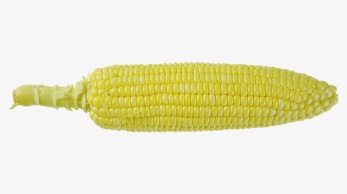Corn On The Cob, HD Png Download, Free Download