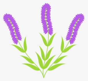 Transparent Hyacinth Png, Png Download, Free Download