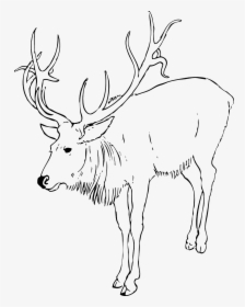 Reindeer Clipart Black And White, HD Png Download, Free Download