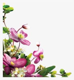 Flower Corner Png Download - Virág Png, Transparent Png, Free Download