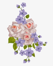 Nature Illustration, Botanical Illustration, Vintage - Roses And Lavender Drawings, HD Png Download, Free Download