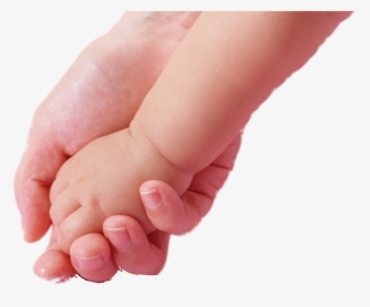 Clip Art Infant Mother Hand Child - Mother Holding Hand Of Baby In Png, Transparent Png, Free Download