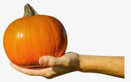 Hand Holding A Pumpkin, HD Png Download, Free Download