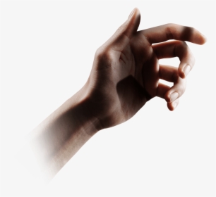 Hand Holding Something Png, Transparent Png, Free Download