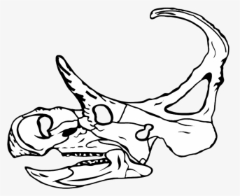 Machairoceratops Skull, HD Png Download, Free Download