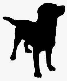75 Dog Png Image Picture Download Dogs - Dog Silhouette Png, Transparent Png, Free Download