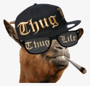 Transparent Thug Clipart - Thug Life Goat, HD Png Download, Free Download