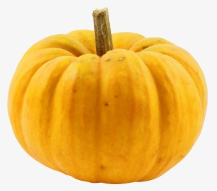 Pumpkin Png Image - Pumpkin, Transparent Png, Free Download