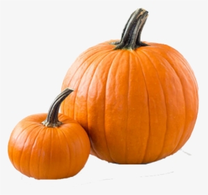 Pumpkin Png Transparent Images - Niche Meme Png Transparent, Png Download, Free Download