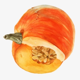 Transparent Watercolor Pumpkin Png - Pumpkin, Png Download, Free Download