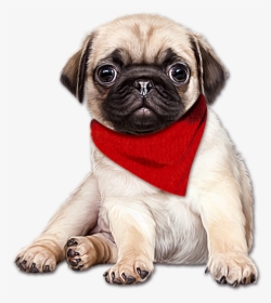 English Mastiff Puppy, HD Png Download, Free Download