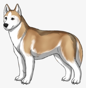 Norwegian Lundehund, HD Png Download, Free Download