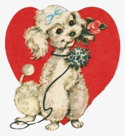 Cute Little Dog Holding A Rose - Last Day Of February, HD Png Download, Free Download