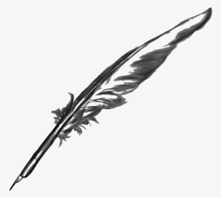 Feather Quill Pen Transparent Background, HD Png Download, Free Download