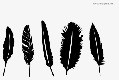 Png Images Of Black Feathers Falling - Transparent Background Vector Feather Png, Png Download, Free Download