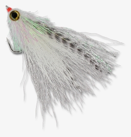 Midnight Mullet - Bait Fish, HD Png Download, Free Download