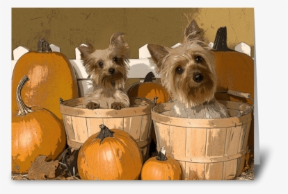 Fall Holidays & Cute Dogs Greeting Card - Australian Silky Terrier, HD Png Download, Free Download