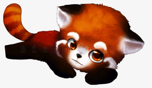 baby red panda wallpaper
