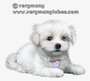Cute Puppies, Clip Art, Animaux, Cutest Dogs, Illustrations - Perritos Animados Shitzu Png, Transparent Png, Free Download