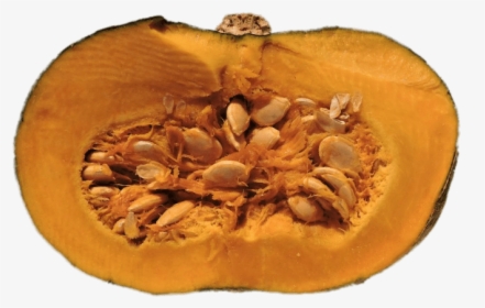 Half Pumpkin With Visible Seeds - Penis Size Bigger Pumpkin Green, HD Png Download, Free Download