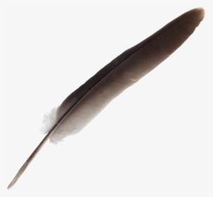 Feather-3 - Feather, HD Png Download, Free Download
