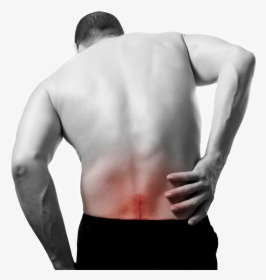 Back Pain Background Png - Low Back Pain Transparent, Png Download, Free Download