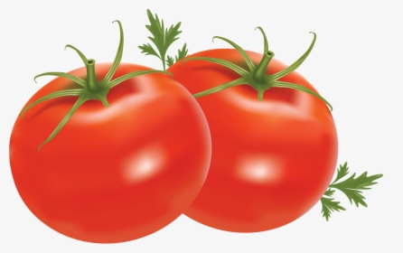 Healthy Food Clipart Transparent Background - Tomato Png, Png Download, Free Download
