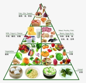 Dietary Supplement Nutrition Healthy - Food Pyramid Png, Transparent Png, Free Download
