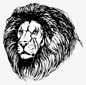 Lion Mane Clip Art Black And White, HD Png Download, Free Download