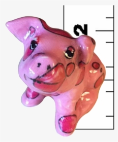 Tiny Pink Piglet With Bright Pink Bubbles - Domestic Pig, HD Png Download, Free Download