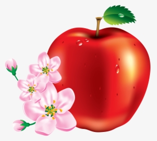 50 Red Apple Png Image Clipart Image - Apple Fruit Flower, Transparent Png, Free Download