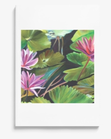 Transparent Water Lilies Png - Water Lily, Png Download, Free Download