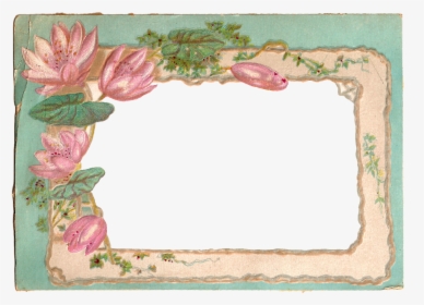 Water Lily Frame Png, Transparent Png, Free Download