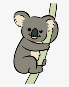 Koala Animation Png, Transparent Png, Free Download