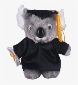 Graduation Teddy Koala Bear, HD Png Download, Free Download
