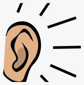 Ear Picture Stock Huge Freebie For Powerpoint Clipart - Transparent Background Ear Clipart, HD Png Download, Free Download